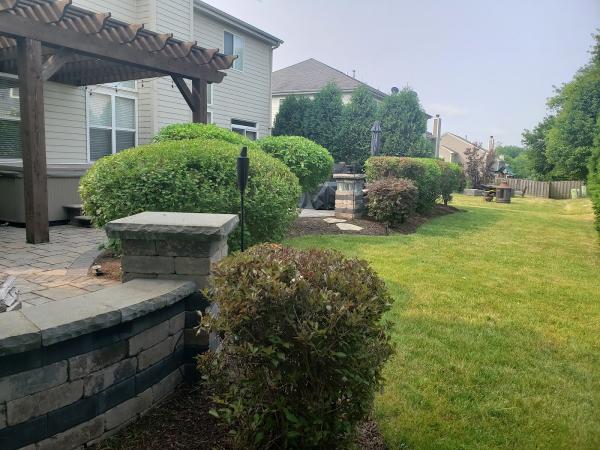 Delapaz Lawn Care and Tree Service