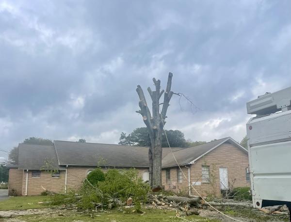 Cutting For Christ Tree Service LLC