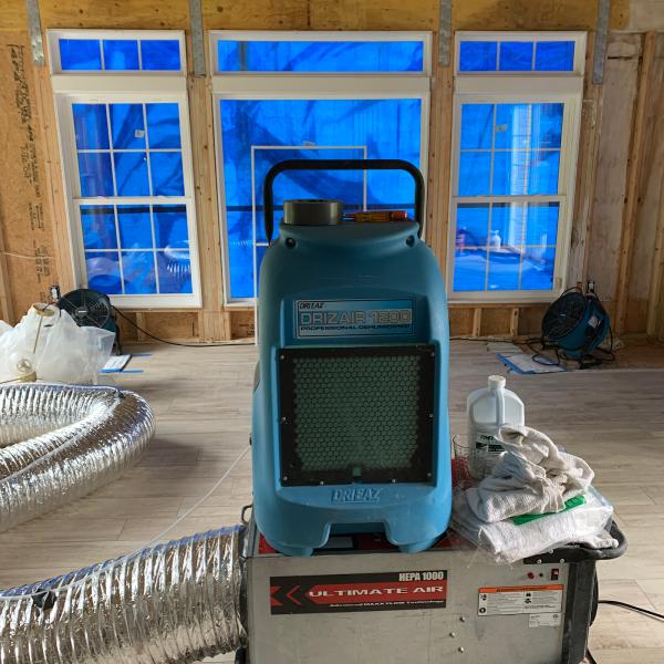 Mold Removal Services