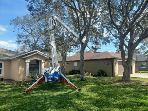 CN Tree Service LLC