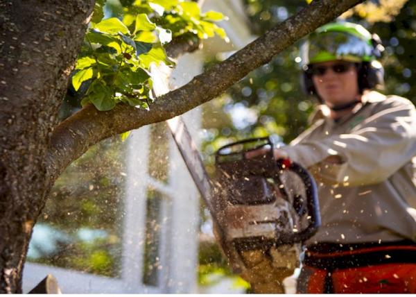 Messer Lawn Care