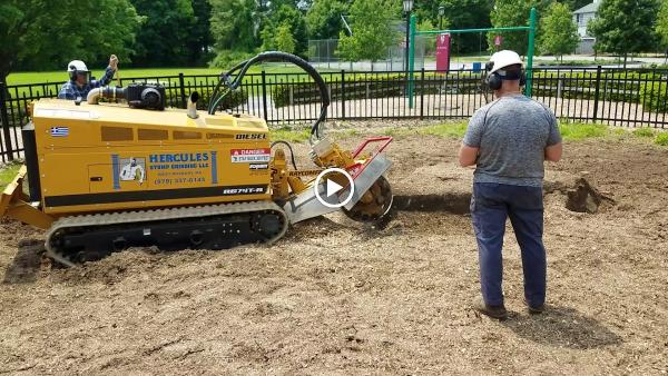 Hercules Stump Grinding