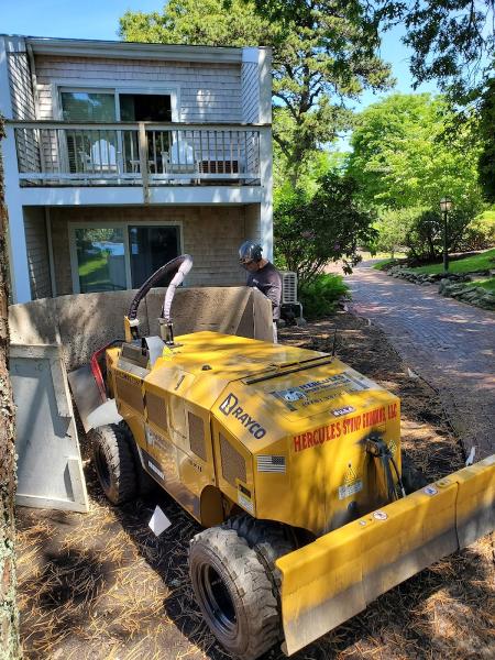 Hercules Stump Grinding