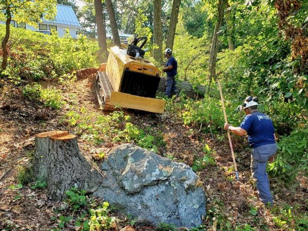 Hercules Stump Grinding