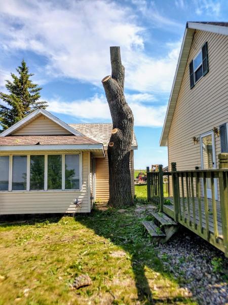 Affordable Tree Fellers