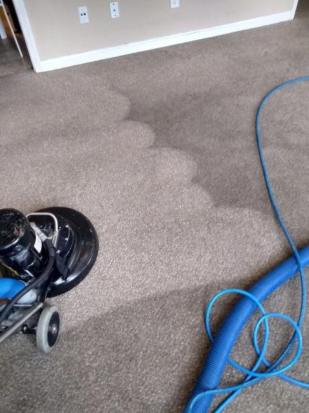 Scott's Carpet Cleaning