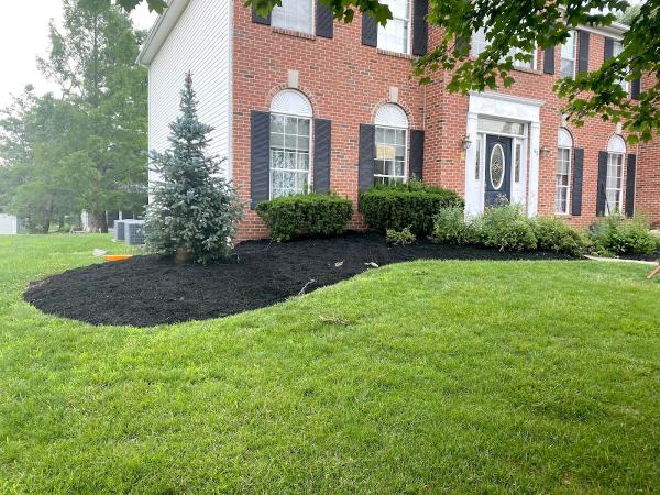 Andy's Landscaping