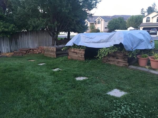 Eco Lawn