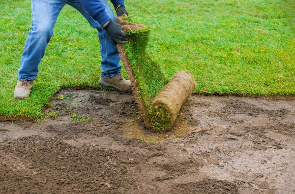 Atlanta Sod Company