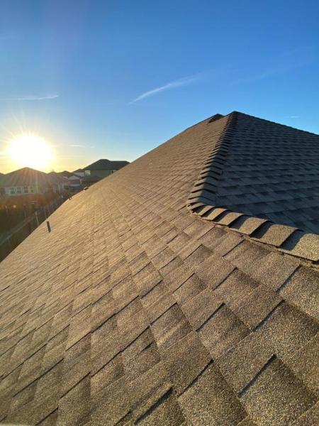 Roofer Chicks