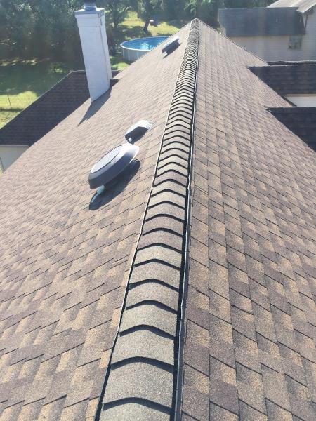 Roofer Chicks