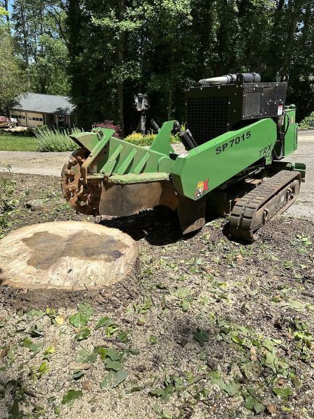 Escamilla Tree Service