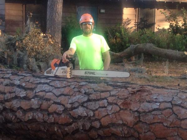 Arbor Care Tree Service