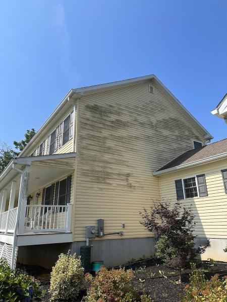 JT Pressure Washing
