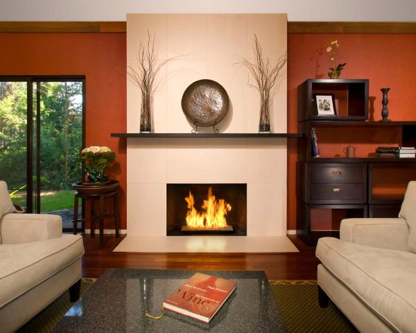The Fireplace Element