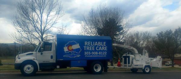 Reliable Tree Care