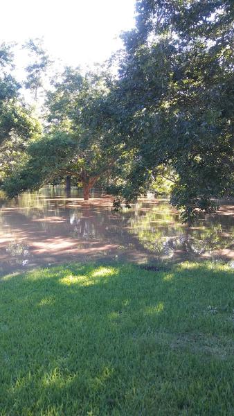 Houston Privacy Fence & Stain