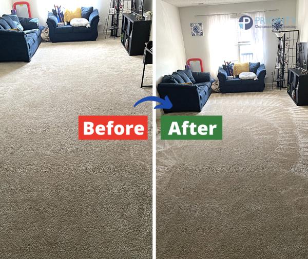 Priority Carpet Cleaning