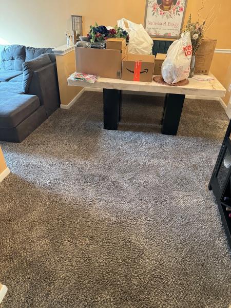 Priority Carpet Cleaning