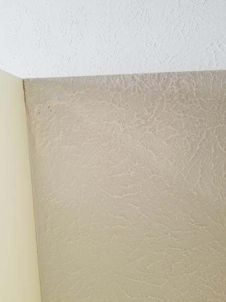Blankenship Drywall & Plaster Repair