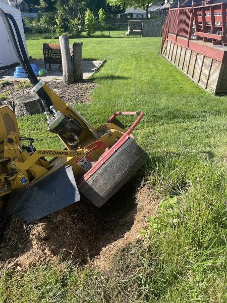 Are You Stumped Stump Grinding