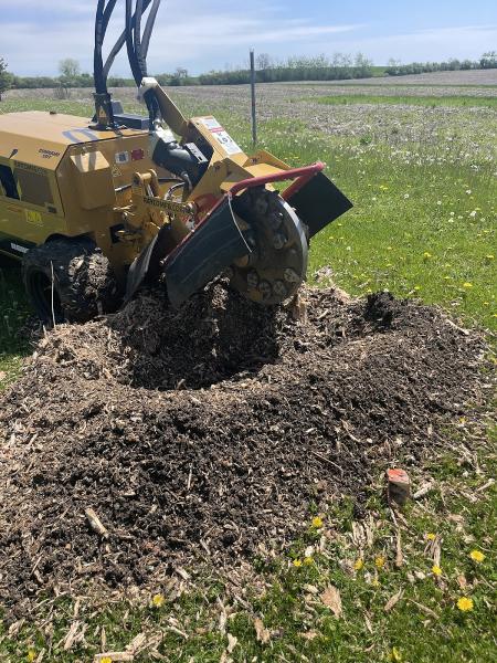 Are You Stumped Stump Grinding