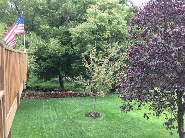 Lawn Tech
