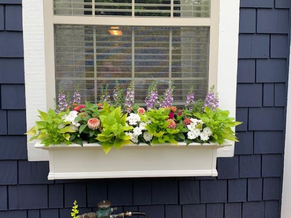 RRR Lawn & Landscape/Seasonal Color