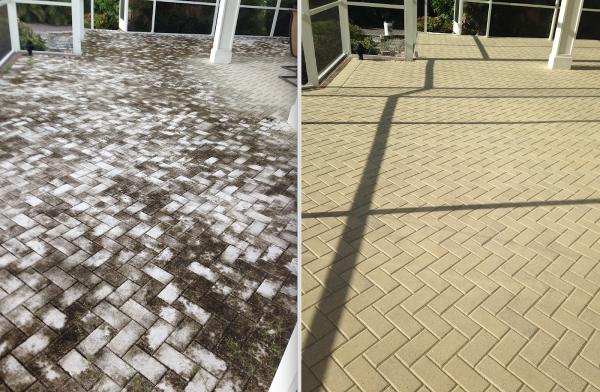 Paver Protectors