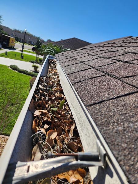 Iberia Seamless Gutters