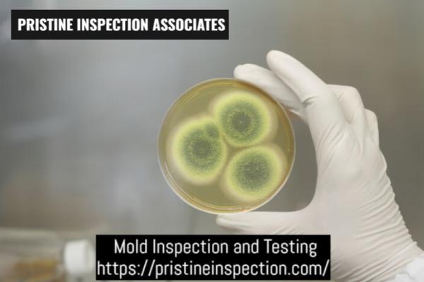 Pristine Inspection Associates