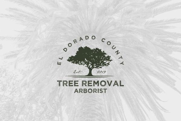 Tree Removal Arborist