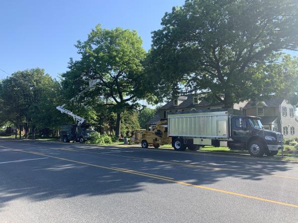 Rubio's Tree Services & Landscaping