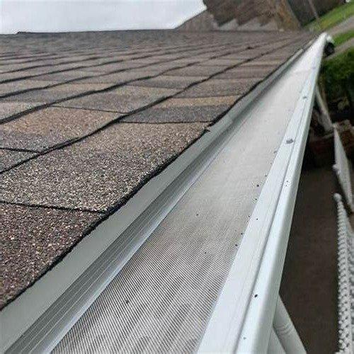 Gutter Installation and Cleaning