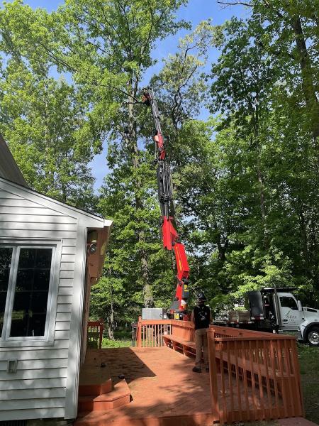 Alpine Tree Service