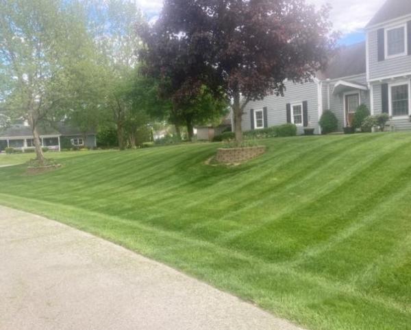 Beyond Landscaping LLC WI