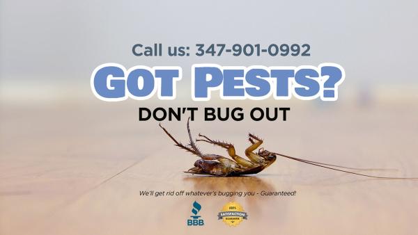 Don't Bug Out Pest Control
