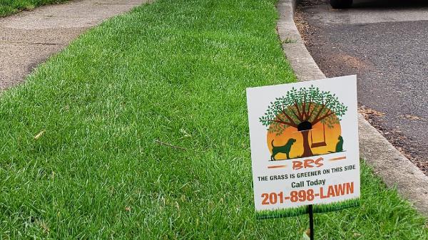 BRS Backyard Bug Busters