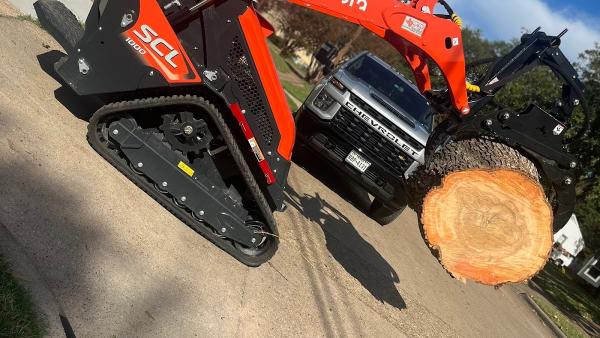Dallas Tree Trimming & Removal Service