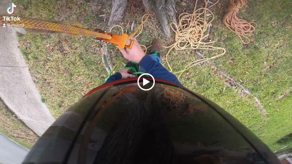 Dallas Tree Trimming & Removal Service