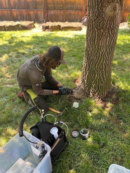 Down to Earth Tree Service and Science