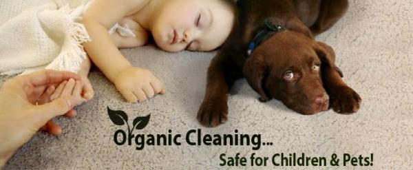 Affordable Carpet Care