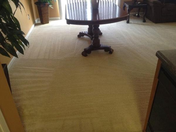 Affordable Carpet Care