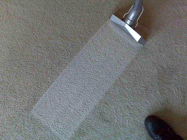 Affordable Carpet Care