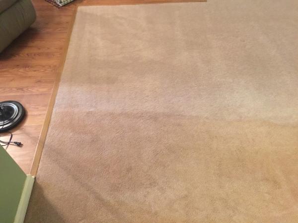 Affordable Carpet Care