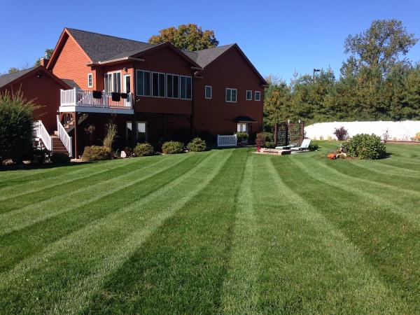 The Greenscaping Company