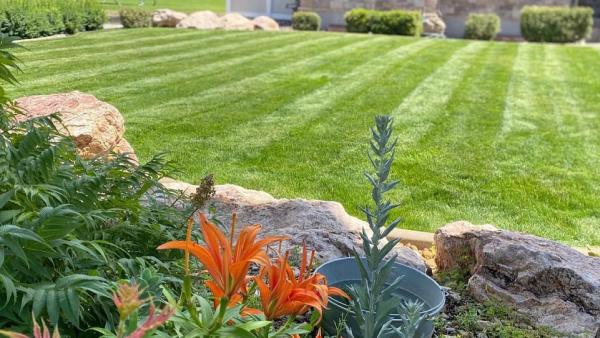 Healey Landscape Co