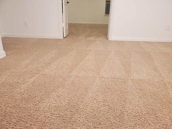 Saving Carpet Cleaning