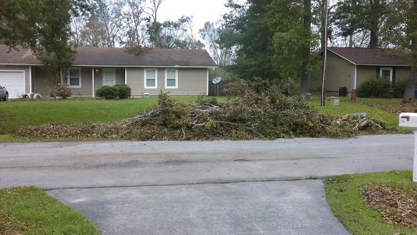 Trips Tree Service