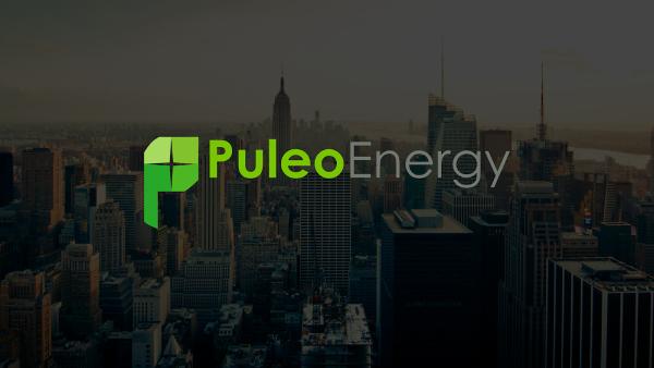 Puleo Energy